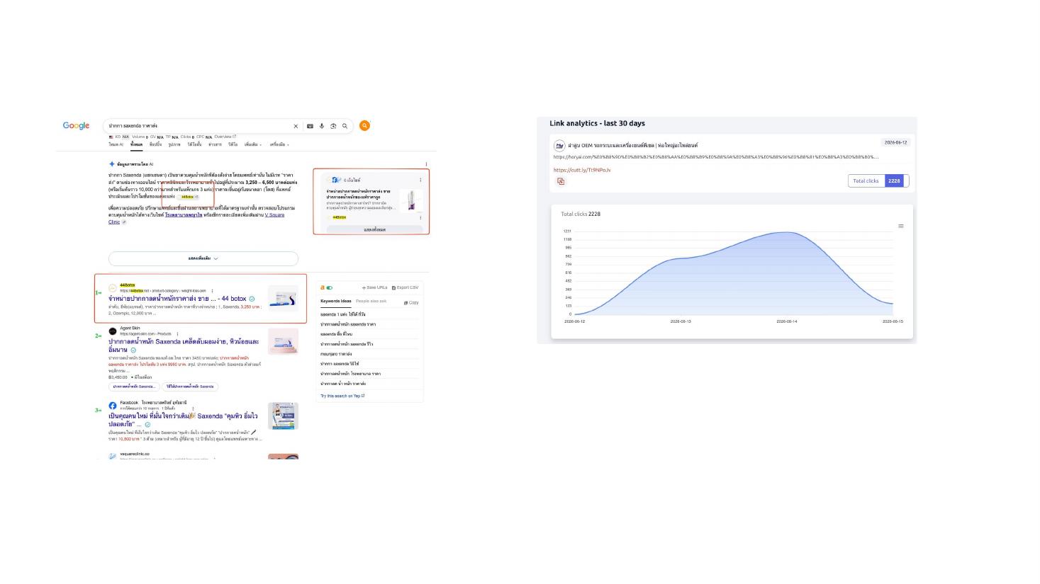 ผลงาน SEO E-commerce และ Analytics